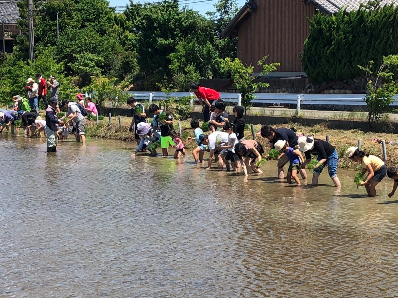 5月19日　田植えイベント