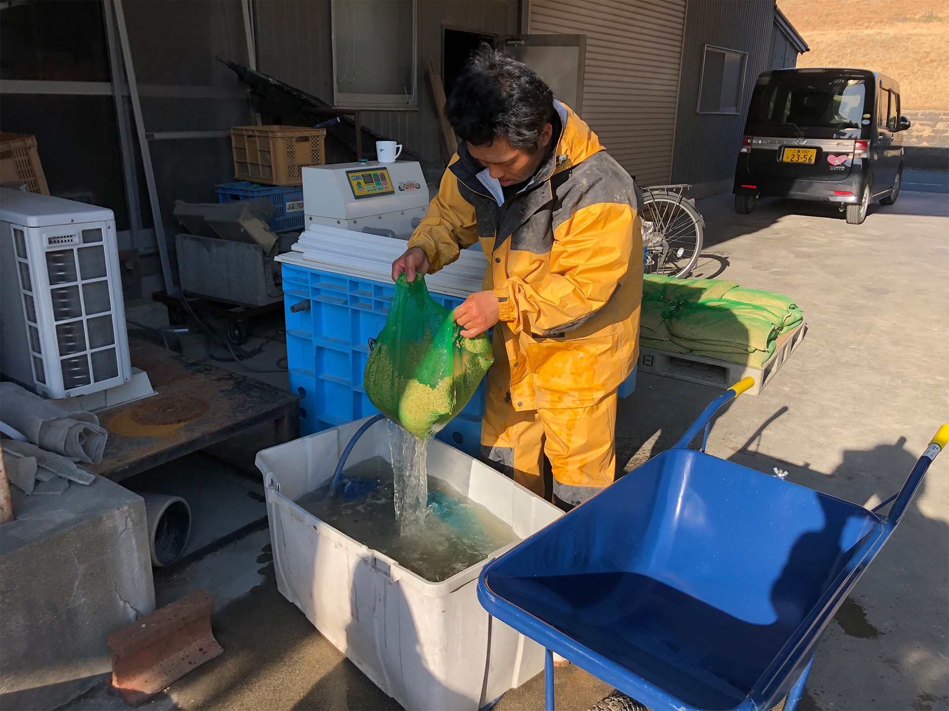 3月9日 温湯消毒