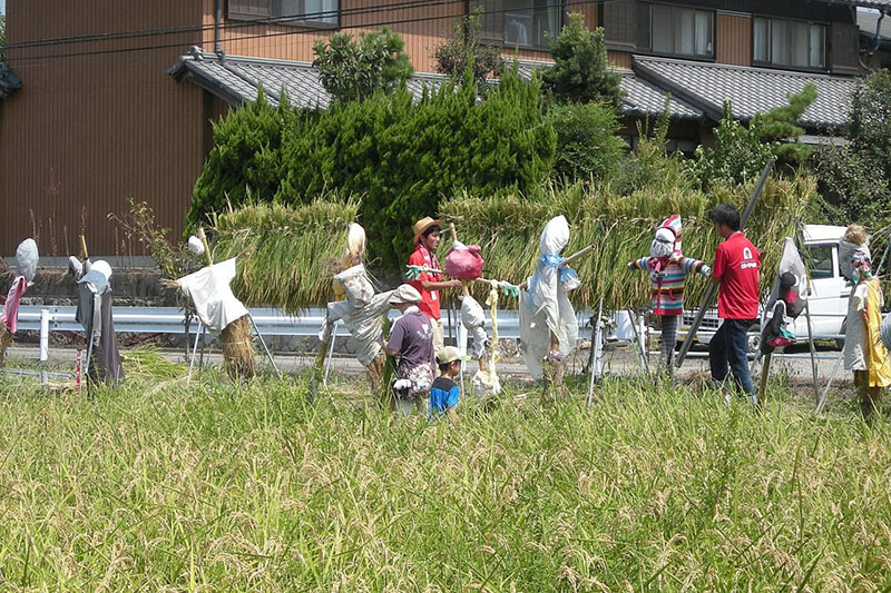 2016年9月3日　稲刈り体験ツアー