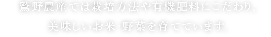 鷲野農産では栽培方法や有機肥料にこだわり、美味しいお米・野菜を育てています。