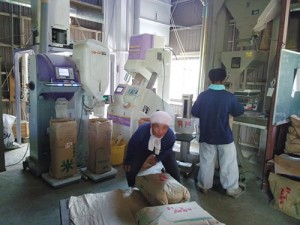 rice2016_img005