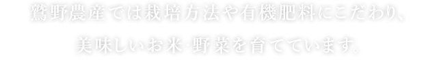 鷲野農産では栽培方法や有機肥料にこだわり、美味しいお米・野菜を育てています。